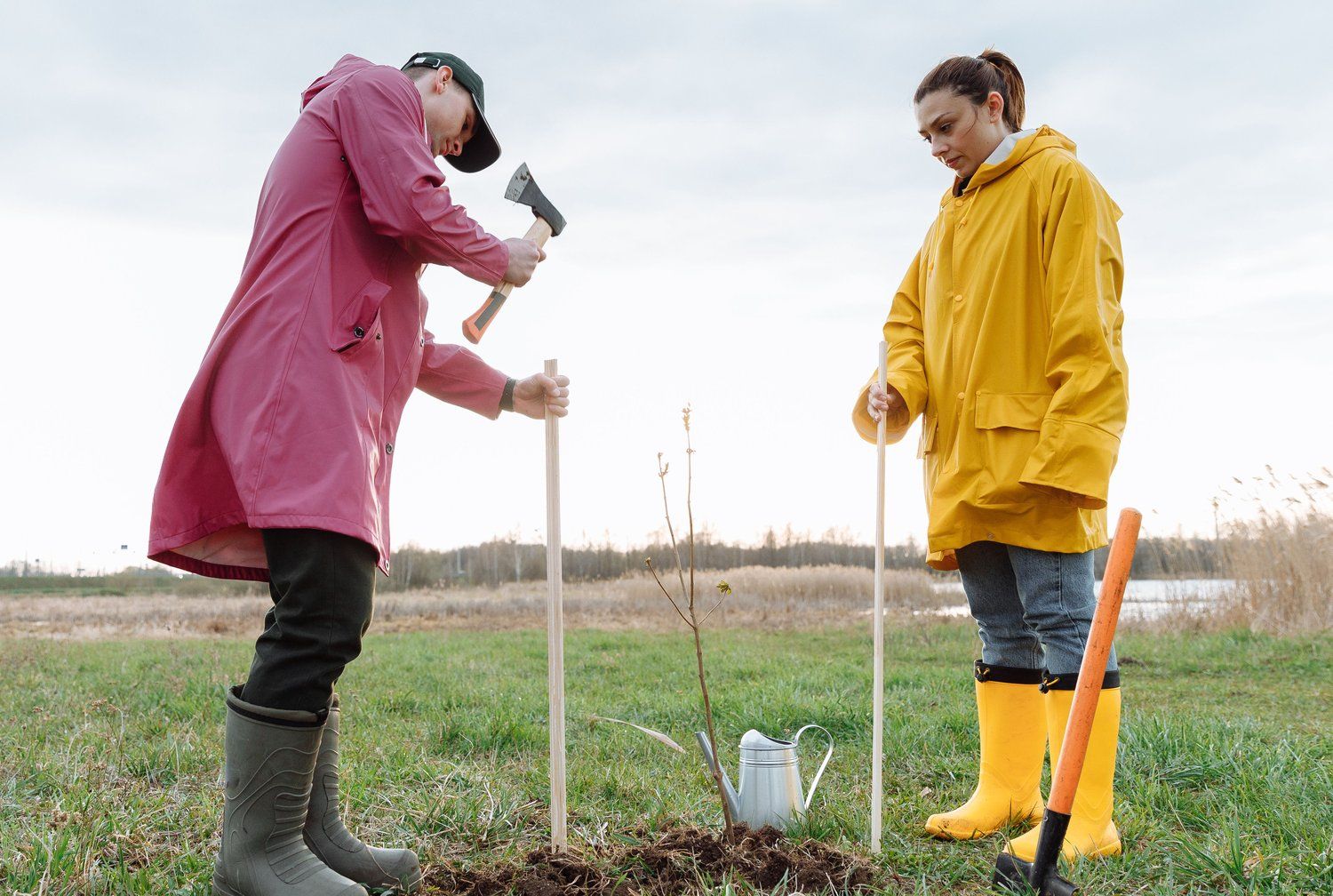 Twee vrijwilligers planten een boompje